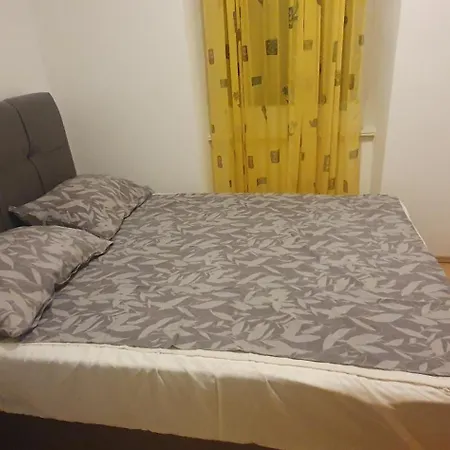 Kolega Zadar